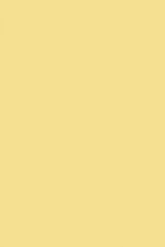 FARROW AND BALL LANCASTER YELLOW NO. 249 PAINT